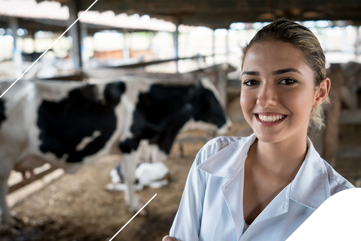 Retrato de uma Médica Veterinária trabalhando com os animais da fazenda