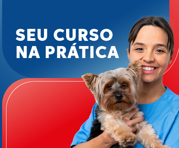 Imagem destaque
